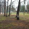 Egzamin klas trzecich wojskowych klas certyfikowanych