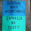 Wolontariat i tosty